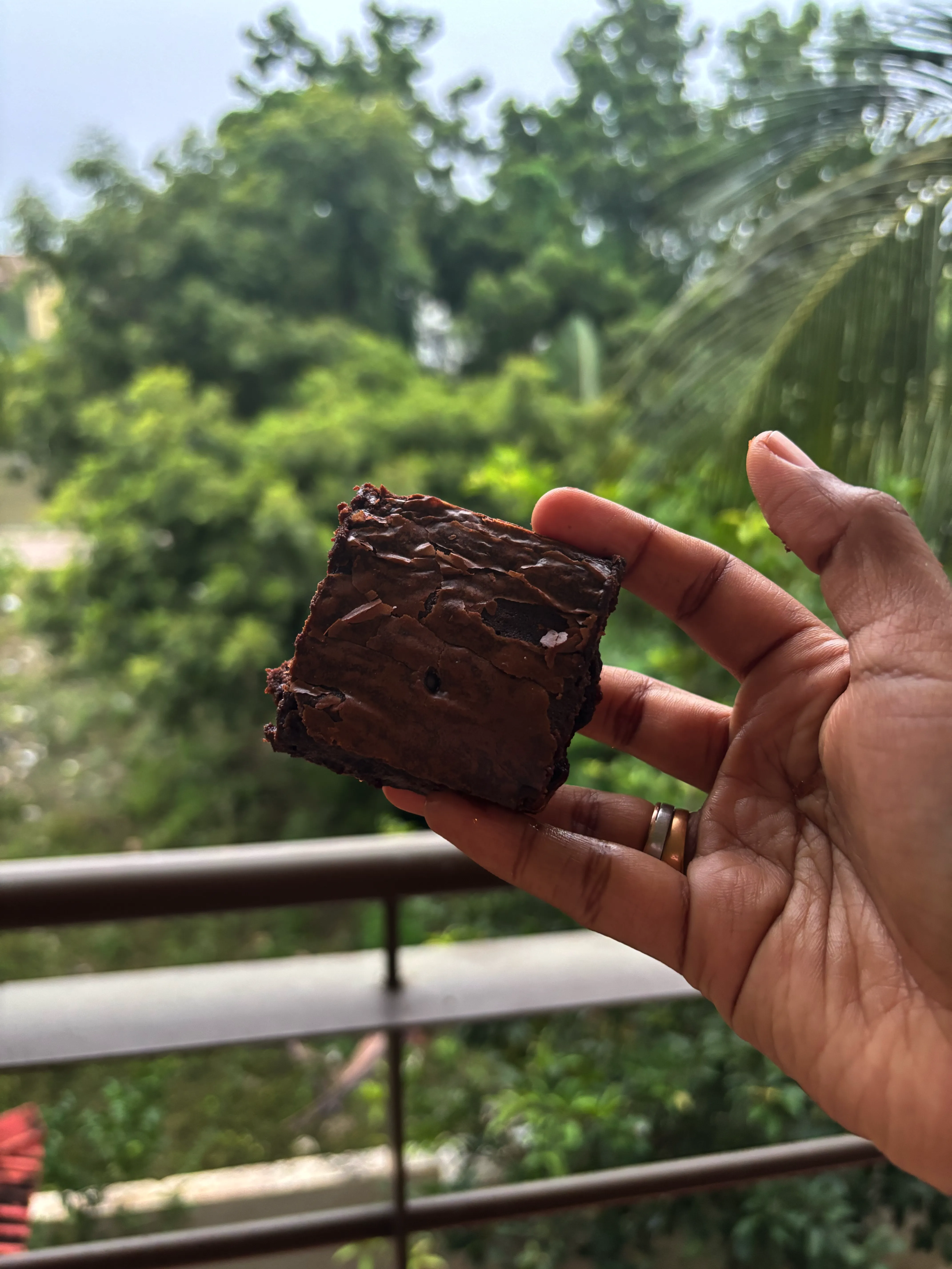 Classic Chocolate Brownie - Main View